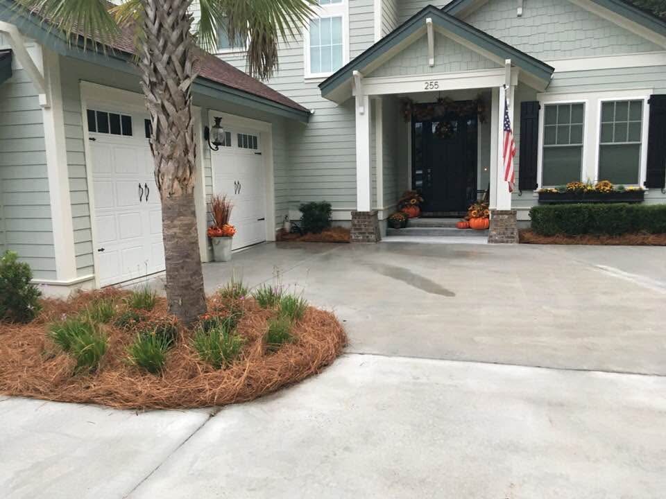 Peach & Palm project 17