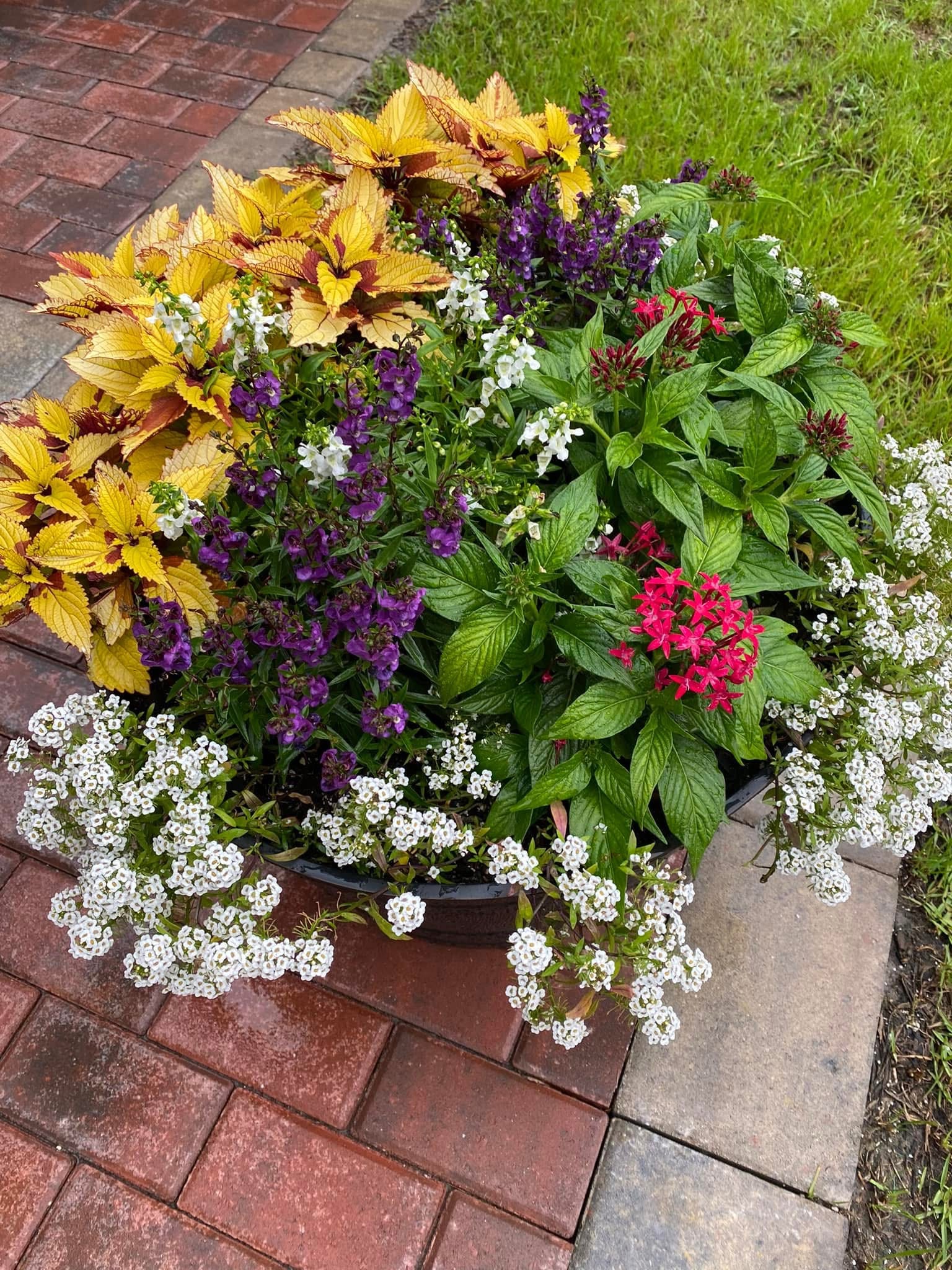 Peach & Palm project 31