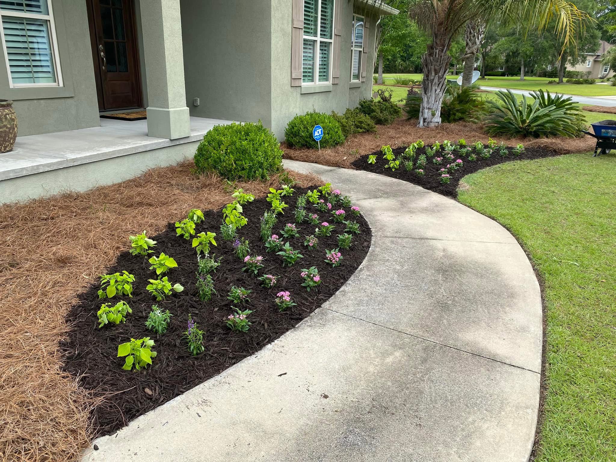 Peach & Palm project 32