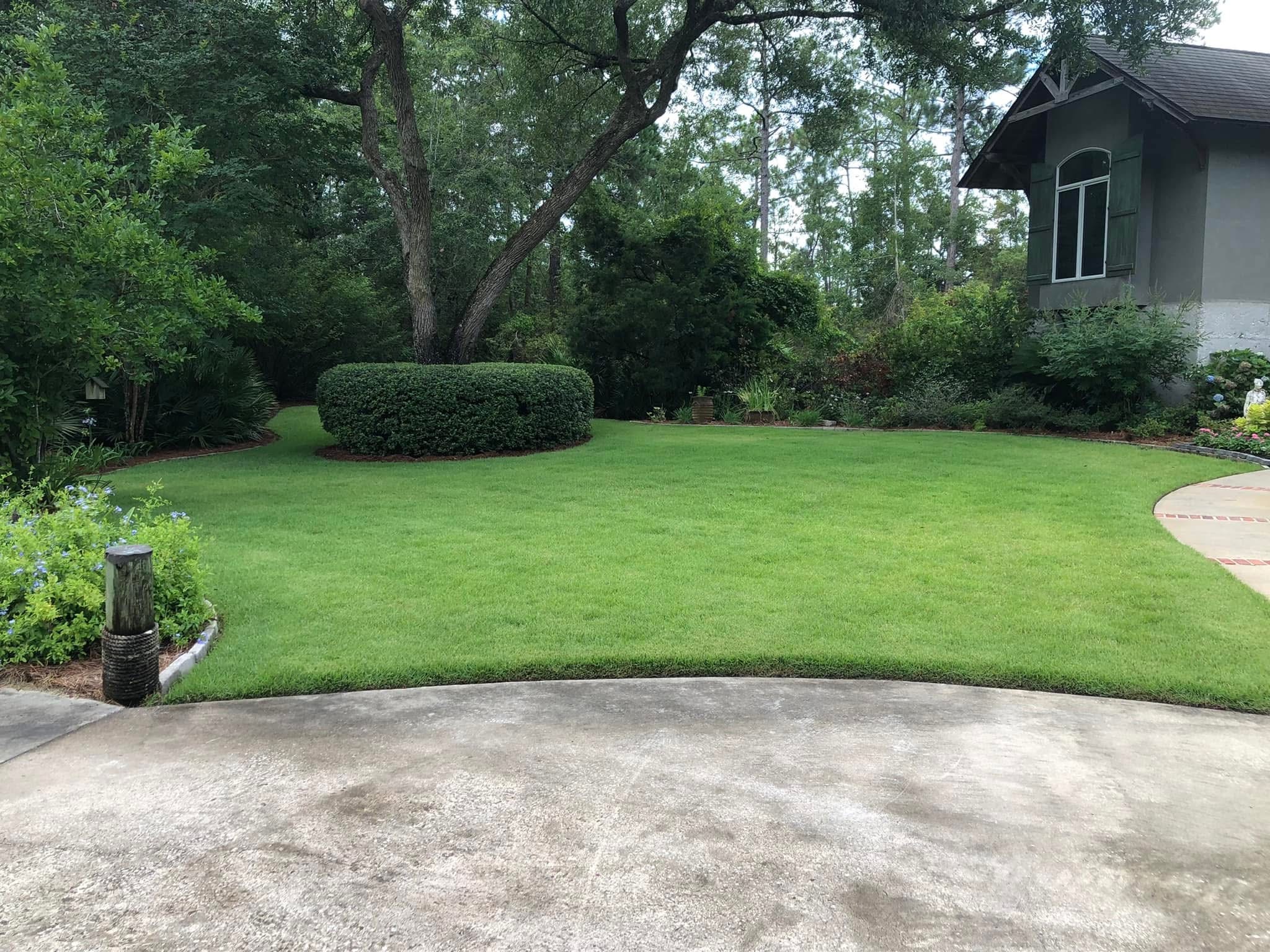 Peach & Palm project 33