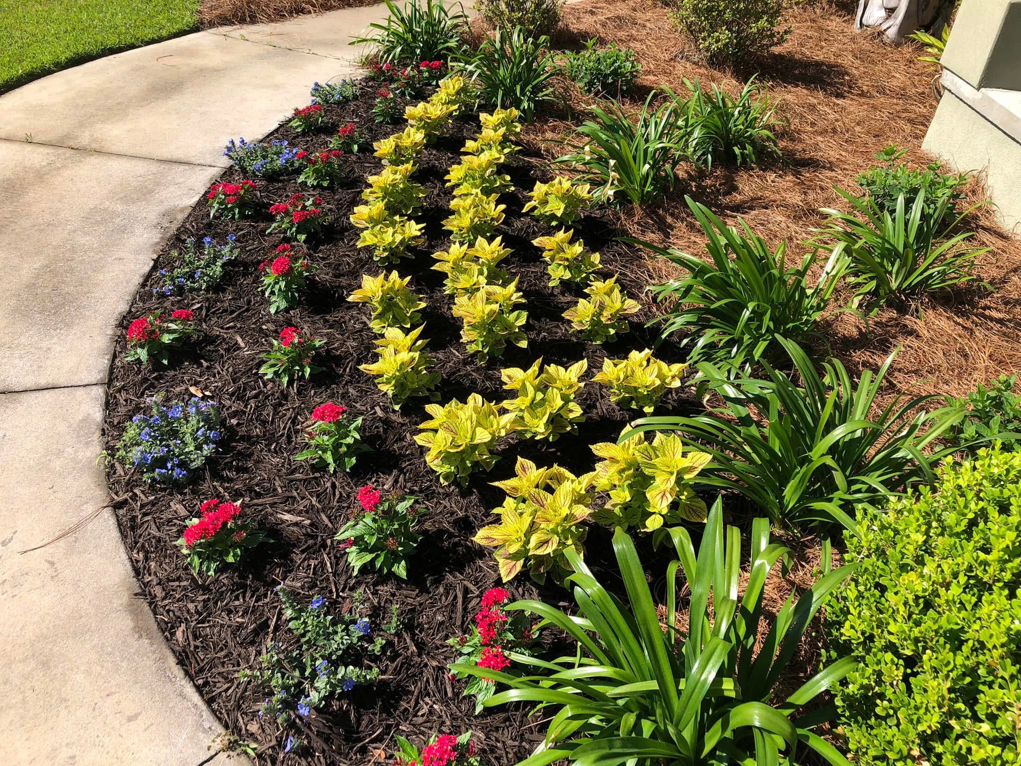 Peach & Palm project 35