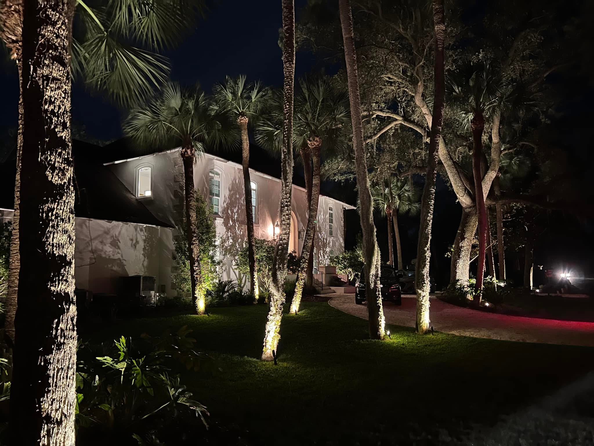 Peach & Palm project 37