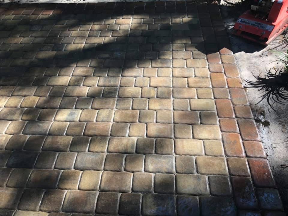 Peach & Palm project 45