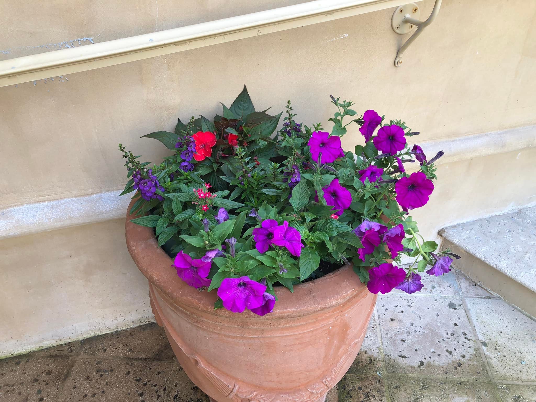 Peach & Palm project 48