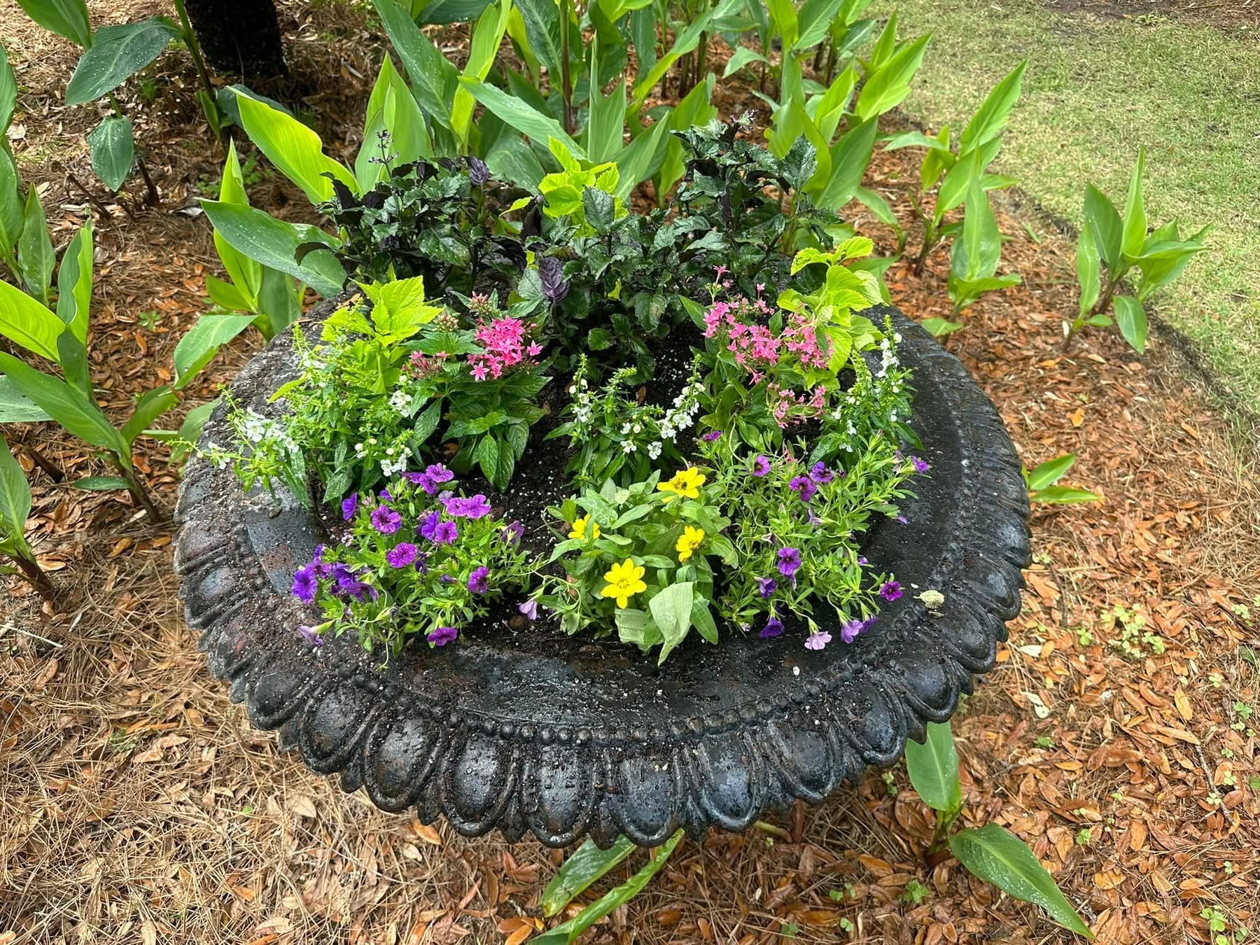 Peach & Palm project 6